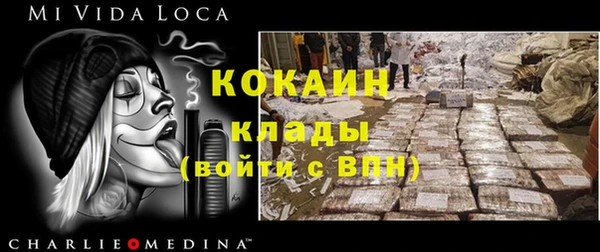 ГАЛЛЮЦИНОГЕННЫЕ ГРИБЫ Баксан
