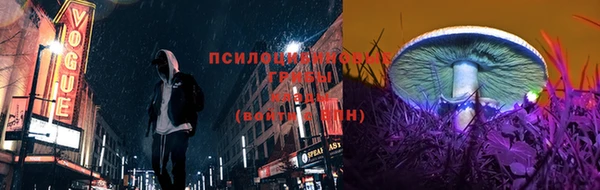 ГАЛЛЮЦИНОГЕННЫЕ ГРИБЫ Баксан