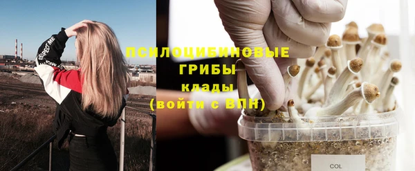 ГАЛЛЮЦИНОГЕННЫЕ ГРИБЫ Баксан