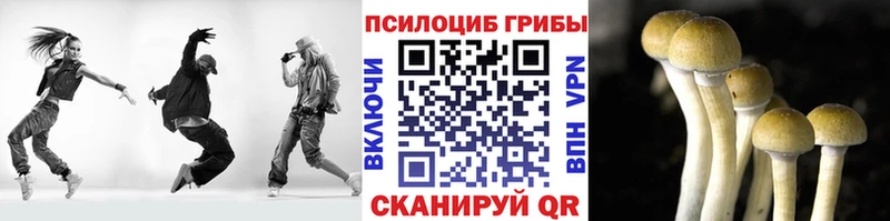 Галлюциногенные грибы мицелий  Комсомольск 