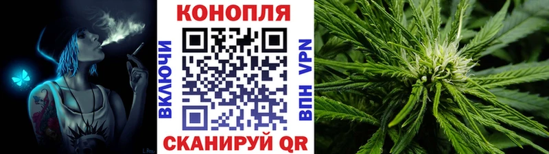 Шишки марихуана SATIVA & INDICA  купить наркоту  Комсомольск 